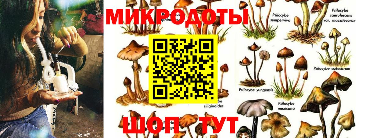 Нягань  Галлюциногенные грибы прущие грибы  Галлюциногенные грибы ЛСД  Вход с VPN 