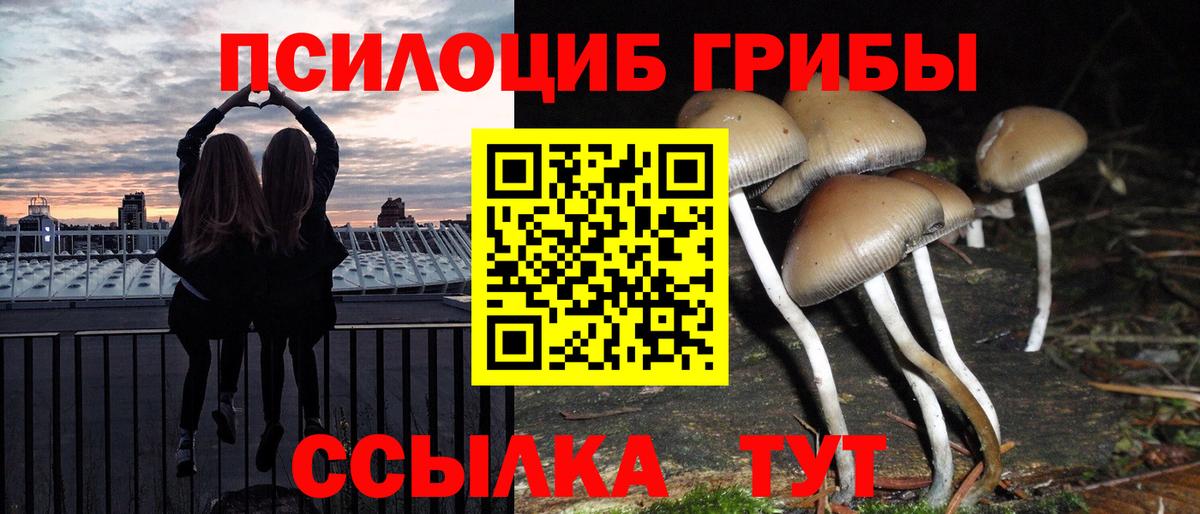 Галлюциногенные грибы прущие грибы Нягань